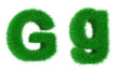 grass font