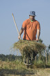 farmer working on the farm