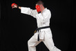 karate coup de poing zuki