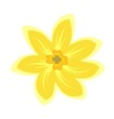 Cartoon illustration of flowers