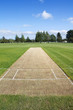 Cricket pitch Cricket pitch