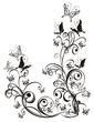 Frame with butterfly and floral ornament, vector Frame with butterfly and floral ornament, vector