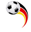 WM 2010