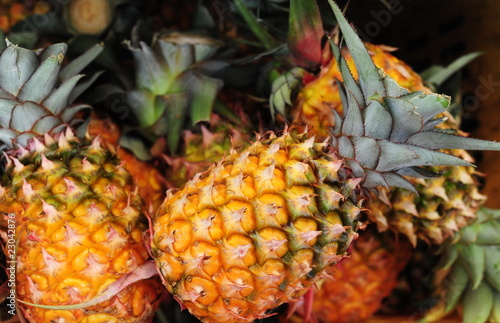 Photo: Pineapple Pineapple