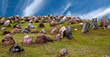 Lindholm Høje - Nécropole viking au Danemark Lindholm Høje - Nécropole viking au Danemark