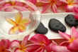 Spa and wellness Spa and wellness