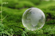 Glass globe on green moss Glass globe on green moss