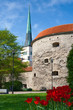 Towers of Tallinn. Estonia