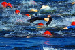 triathlon swimmers