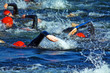 Photo: triathlon swimmers triathlon swimmers