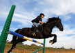 Photo : saut d'obstacle saut d'obstacle