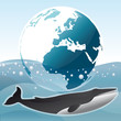 Planète et baleine, vecteur