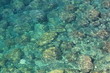 TEXTURE FONDO MARINO 4