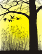 Riverside, reed and tree