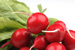 Des radis rouges avec leur feuilles sur fond blanc Des radis rouges avec leur feuilles sur fond blanc