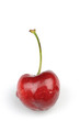 Une cerise sur fond blanc Une cerise sur fond blanc