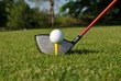 tee, ball and driver