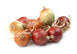 onion