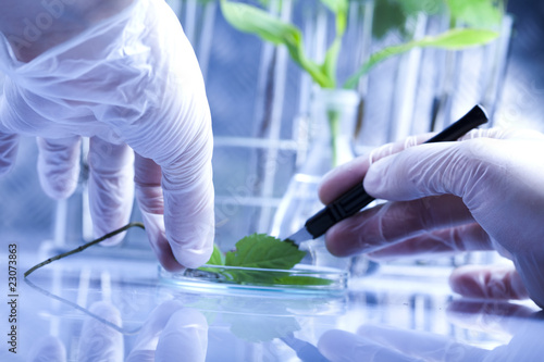Foto: Working in a laboratory Working in a laboratory