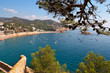 Mediterranean. Spain