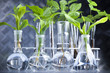 Ecology laboratory Ecology laboratory