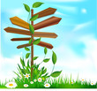 direction nature