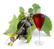 Bottle of wine in the vine on a white background