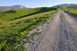 traces of a car on a mountain road
