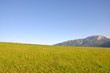Big mountain landscape