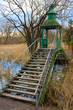 Spring plant-filled pond and bridge