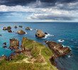 Nugget Point, Catlins Coast, New Zealand