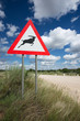 Deer crossing