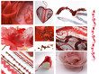 st valentine s day_montage