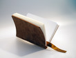 lederbuch_05