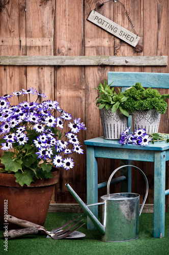 Foto: Gardening Gardening