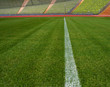 Stadion