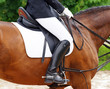 Detail Reitsport - Horse Woman