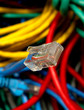 Network Plug