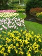keukenhof