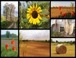 collage campagna