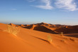 Blick über die Sahara