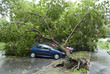 Storm damaged cars