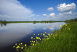 landscape on the river