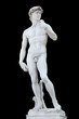 Michelangelo's David