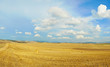 tuscany landscape panorama