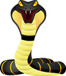 King Cobra