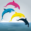 Dauphins CMJN, vecteur Dauphins CMJN, vecteur
