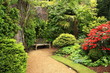Lovely spring garden Lovely spring garden