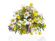 Wiesenblumenstrauß