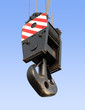 Hoisting rig